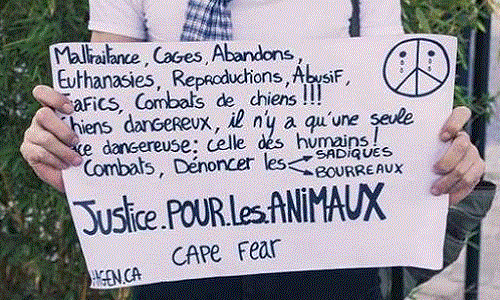 L'interdiction totale: des manèges à poneys dans nos villes, changer la loi pour 2017.