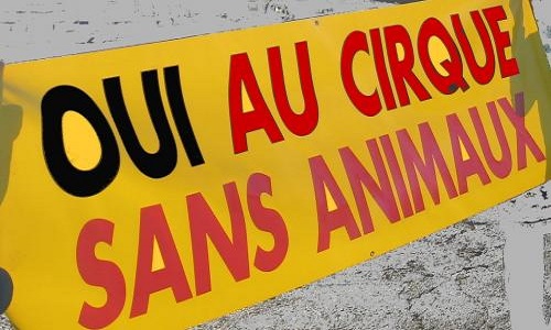 Non aux cirques avec animaux dans notre ville