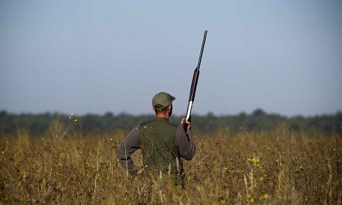 Stop chasse samedi et dimanche, et les autres jours près des maisons
