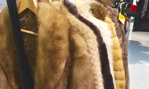 Arrêter le commerce de la fourrure aux Galeries Lafayette