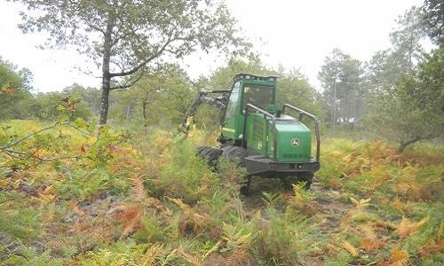 Non au bétonnage Gujan
