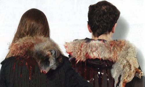 Stop à la vente de véritable fourrure