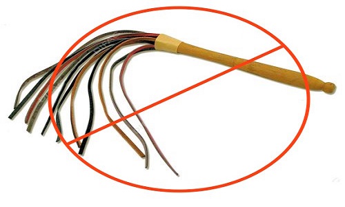 Stop à la maltraitance! Retirez les martinets des animaleries.