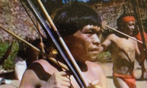 Soutien au peuple Yanomani