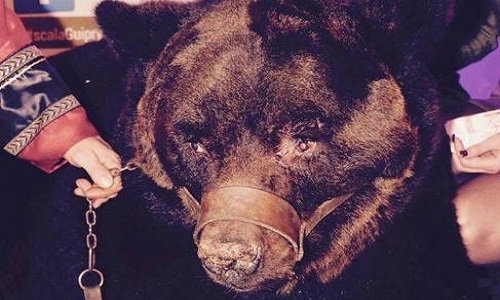 Nous ne changerons pas ce qui a été fait,  mais changeons le futur pour ne plus JAMAIS revoir ceci...