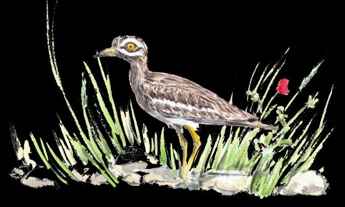 Contre la construction d'une centrale photovoltaïque à Mouret 