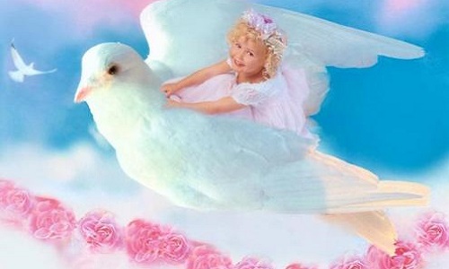 Fiona, sa mort ne vaut-elle que 5 ans de prison?