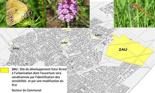 Stop au béton! Sauvons la zone humide du Communal à Andernos!