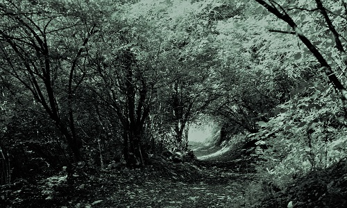 Soutien à la psychanalyse et à la diversité des pratiques dans la prise en charge de l'autisme, en médecine, en psychiatrie et dans le domaine du handicap. Retrait de la proposition de résolution sur l'autisme examinée le 08/12/2016.