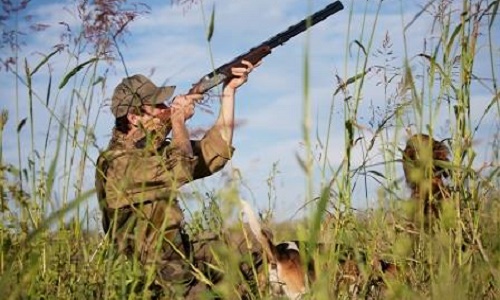 Réagir face aux abus de la chasse. Agir pour faire changer la loi.
