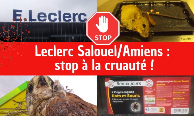 Stop à la cruauté animale au Leclerc Salouel-Amiens