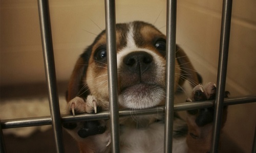 Pour que les gens qui donnent sachent