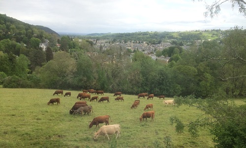 Non à la construction d'un complexe immobilier entre deux sites environnementaux classés