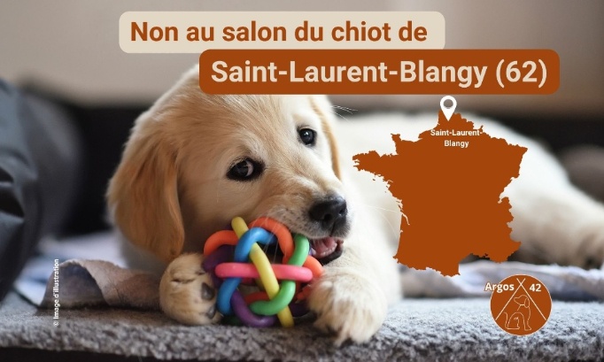 Non au Salon du Chiot de Saint-Laurent-Blangy