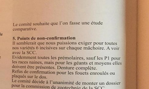 Refus de confirmation pour fouets enroulés ou plaqués sur le dos !