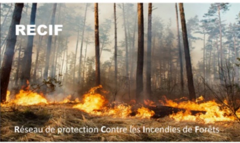 Soutenons une étude publique sur la diffusion diphasique pour protéger nos forêts