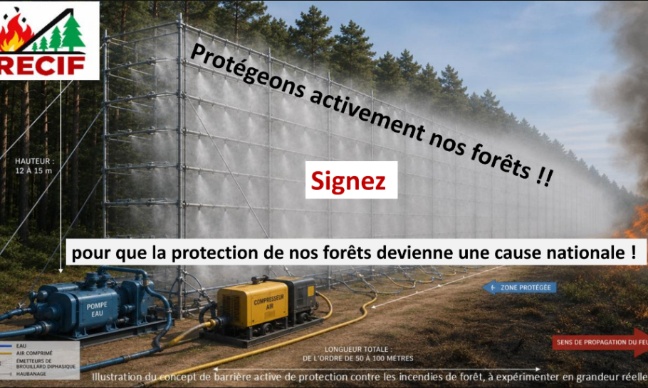 INCENDIES DE FOR&Ecirc;T : DONNONS AUX CITOYENS LES MOYENS DE PROT&Eacute;GER !