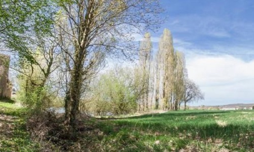 Non au projet d’extension de l’élevage industriel de 2730 porcs de Chemilli (Perche)