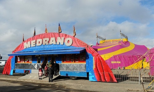 Stop à l'exploitation des animaux dans les cirques