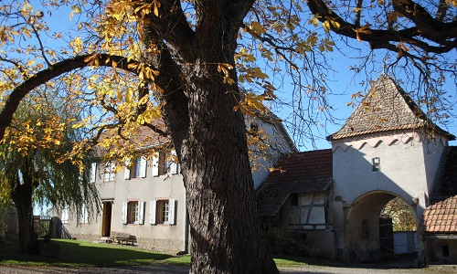 NON A LA DEMOLITION DE LA FERME SEIGNEURIALE DE NAMBSHEIM
