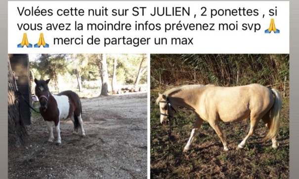 Pour Izzie et Bonnie, nos 2 ponettes volées.