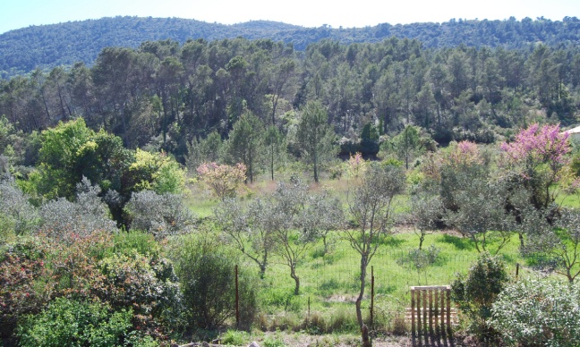 Soutenons le projet d’éco-hameau de La Font de Pouille à Solliès-Toucas