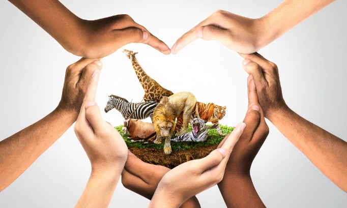 Pour le respect des animaux et des écosystèmes !