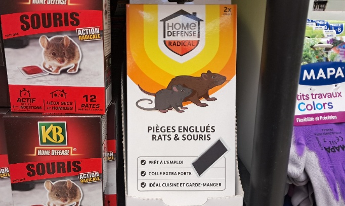 Stop aux pièges à colle dans le carrefour market de Brionne.