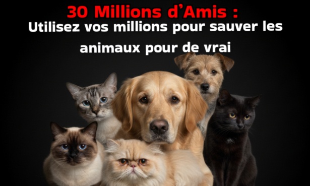 30 Millions d'Amis : Utilisez vos MILLIONS pour sauver les animaux pour de vrai !