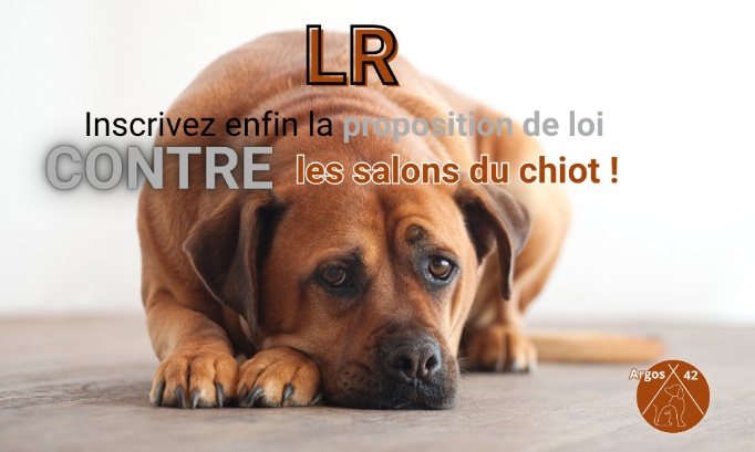 LR : inscrivez enfin la proposition de loi contre les salons du chiot !