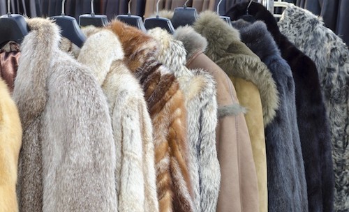 Contre toutes les cruautés animales