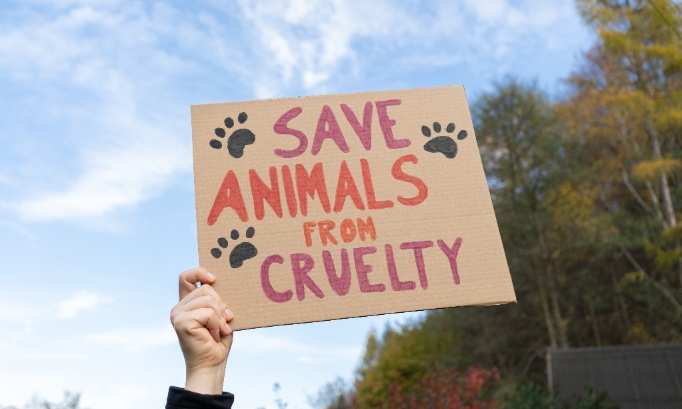 Listen to the people: the UK demands real action for animal welfare