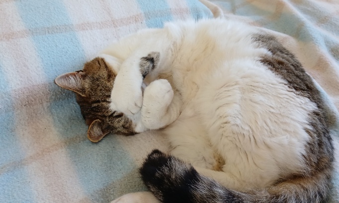 Pour un respect total de la nature et des animaux sauvages !