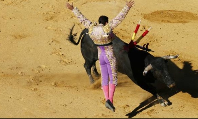 Stop à la corrida : protégeons les taureaux en Espagne !