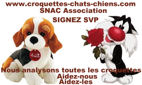 Les croquettes qui tuent nos chats et chiens