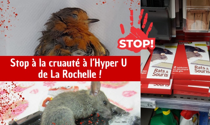 Stop à la cruauté à l’Hyper U La Rochelle