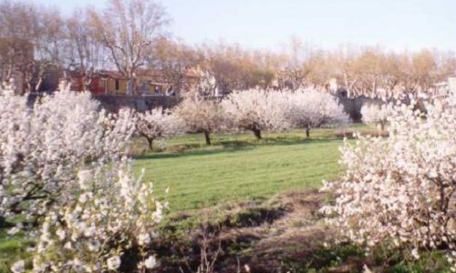 Non à la bétonisation d'un espace naturel au centre de Carpentras