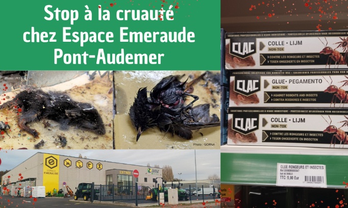 Stop à la cruauté chez Espace Emeraude Pont-Audemer
