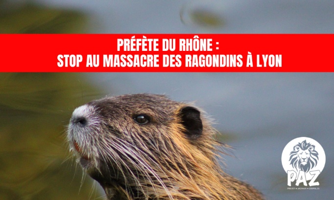 Préfète du Rhône : stop au massacre des ragondins à Lyon