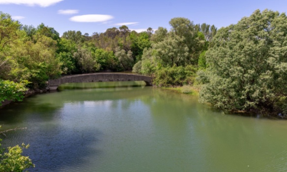 Stop à la destruction de 200 hectares de forêt à Montauroux