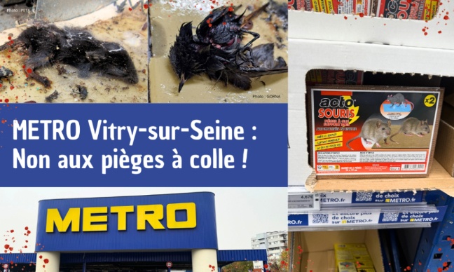 METRO Vitry-sur-Seine : non aux pièges à colle !