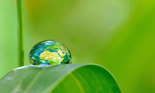 Demande de tolérance sur mon mode de vie en vertu du droit à la difference, du droit à vivre de manière ancestrale en harmonie avec la nature, de l'urgence écologique et économique actuelle.
