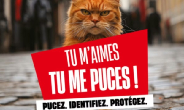 Pour un rappel d'identification sur les aliments pour animaux