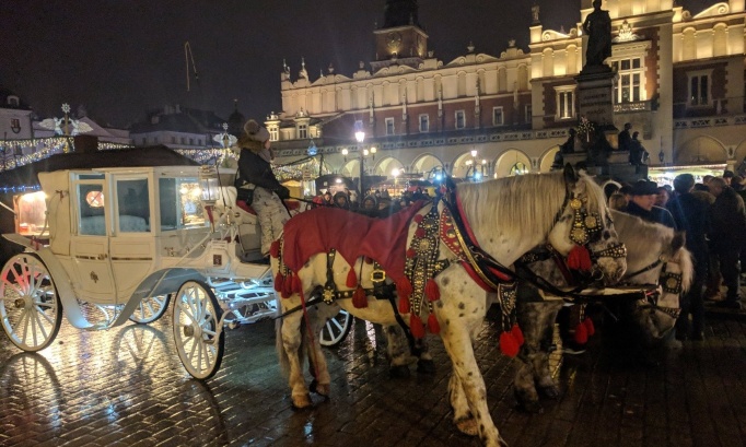 Pour l’abolition des calèches touristiques à Cracovie