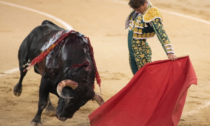 Stop à la corrida : mettons fin à cette cruauté !