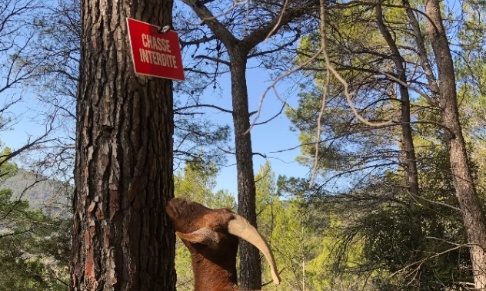 Sauvons le refuge de Mauricette