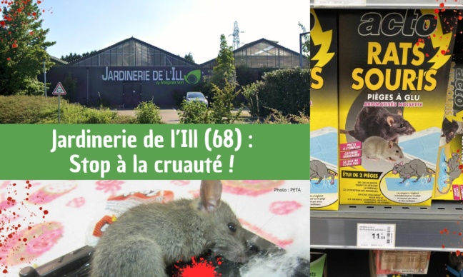 Stop à la cruauté à la Jardinerie de l’Ill !