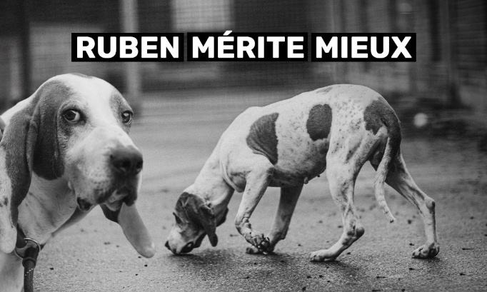 Ruben : NON à sa restitution !