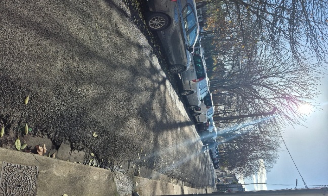 Pour des aménagements urgents rue Allée Paul Bourillon pour ralentir la vitesse