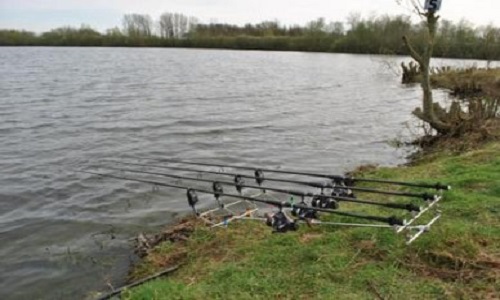 Parcours de nuit pour la pêche à la carpe